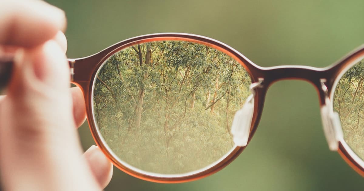 Hand hält eine Brille vor einen unscharfen Hintergrund, durch die Gläser wird der Wald dahinter scharf