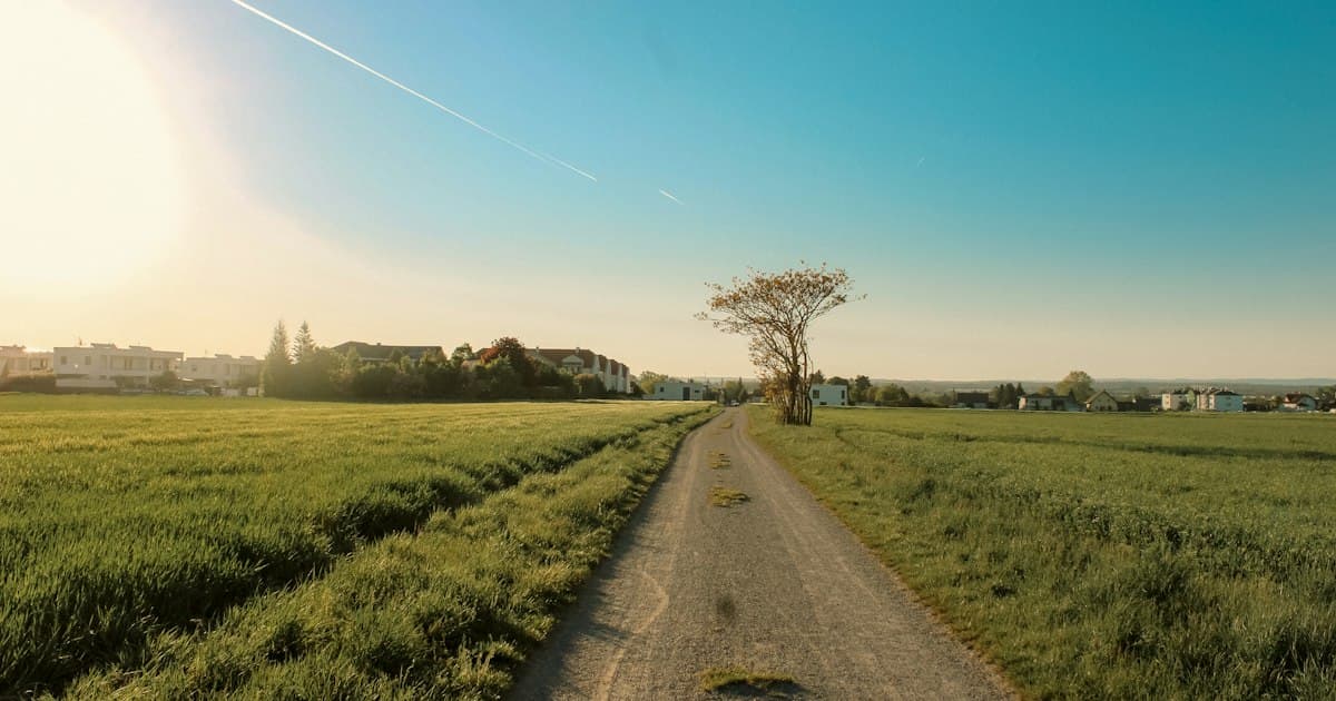 Schotterweg zwischen grünen Feldern am Rand einer kleinen Ortschaft, am Wegrand ein einzelner Baum